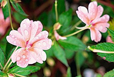 开发商确认：PS5符合规格的外置SSD 载入时间和内置SSD相同